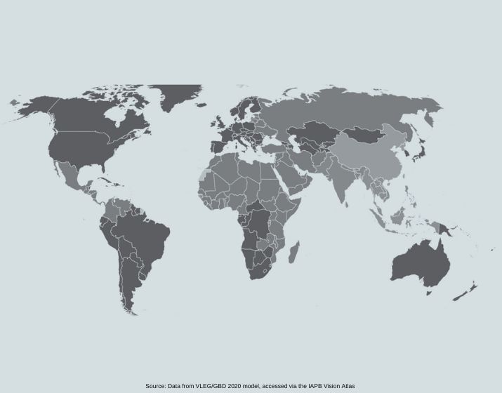 The Prevalence and Burden of Uncorrected Refractive Errors in the World and in the US 